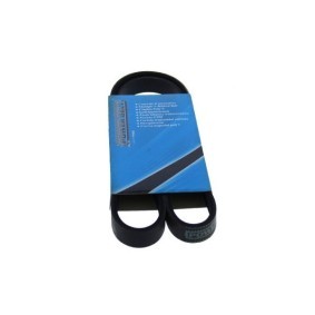 MAPCO 250990 Keilrippenriemen ALFA ROMEO 146 (930)