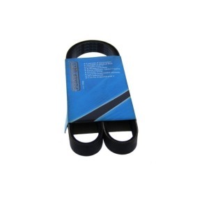 MAPCO 251010 Cilindretto serratura DAEWOO ESPERO