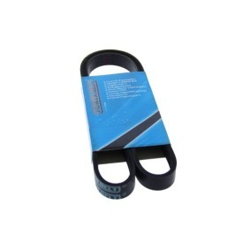 Comprar Correa trapecial poli V de MAPCO 251100 a bajo precio de 10,85&nbsp;&euro;