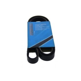 MAPCO 251450 Correia do alternador OPEL MERIVA