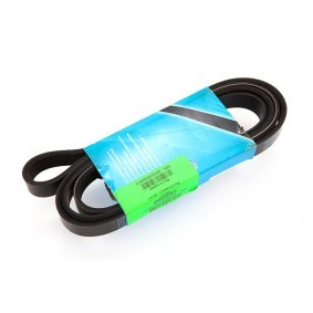 Comprar Correa trapecial poli V de MAPCO 262080 a bajo precio de 27,67&nbsp;&euro;