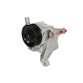 LAUBER 55.2201 Pompa idroguida IVECO