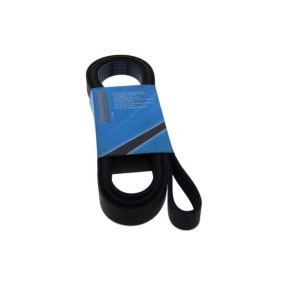 Comprar Correa trapecial poli V de MAPCO 262625 a bajo precio de 31,24&nbsp;&euro;