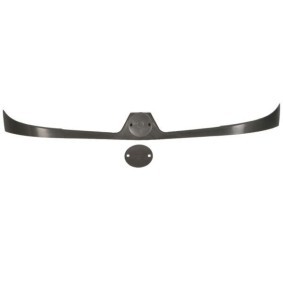 BLIC 6502-07-6010995P Componente per faro principale RENAULT KANGOO