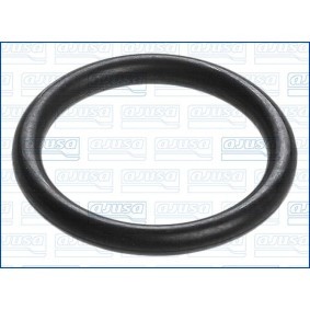 AJUSA 16019600 Dichtung, Kühlmittelflansch DACIA LOGAN (LS_)