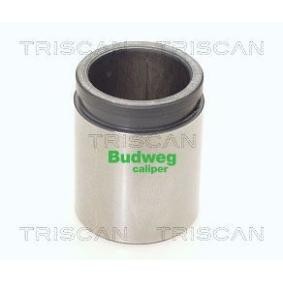 Comprar Émbolo, pinza del freno de TRISCAN 8170 233847 a bajo precio de 28,85&nbsp;&euro;