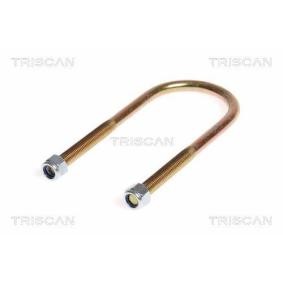 TRISCAN 8765 100004 Molas de lâminas JEEP CHEROKEE (XJ)