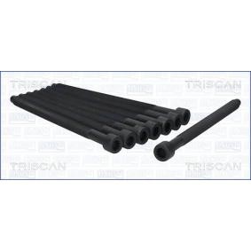TRISCAN 98-8522 Bulloni testata SKODA Fabia 2 (545) 1.4 70 CV Diesel