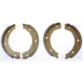 TRISCAN 8100 10030 Ganasce freno a mano FORD Escort 5 Cabrio (ALL)