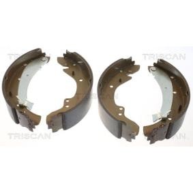 TRISCAN 8100 10573 Bremsbacken FIAT DUCATO Bus (230) 2.0 109 PS Otto