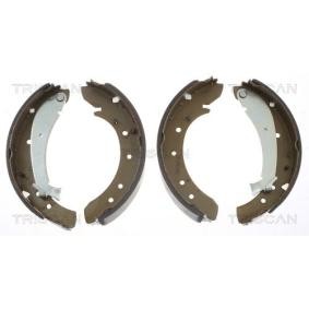 TRISCAN 8100 10576 Bremsbacken FIAT DUCATO Bus (230) 2.0 84 PS Diesel