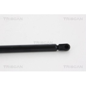 TRISCAN 8120 10107 Disque de frein LANCIA LYBRA SW (839BX) 1.6 103 CV Essence