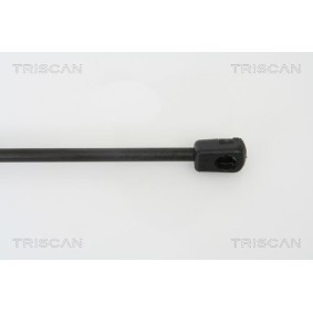 TRISCAN 8120 13139 Bremsscheiben TOYOTA COROLLA Compact (_E10_) 2.0 72 PS Diesel