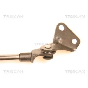 TRISCAN 8120 15119 Bremsscheiben FIAT STILO (192) 1.6 103 PS Otto
