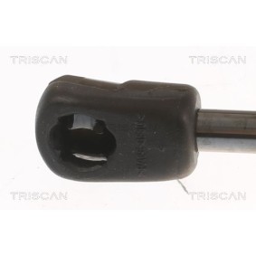 Achetez des Disque de frein TRISCAN 8120 24118 à prix pour 49,24&nbsp;&euro;