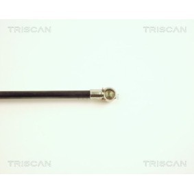 TRISCAN 8120 50148 Bromsskivor MAZDA FAMILIA 6 (BJ) 2.0 71 hk Diesel