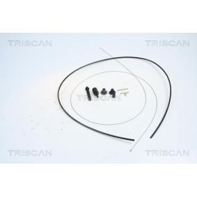TRISCAN 8140 25314 Bowdenzug RENAULT RAPID Kasten (F40_, G40_)