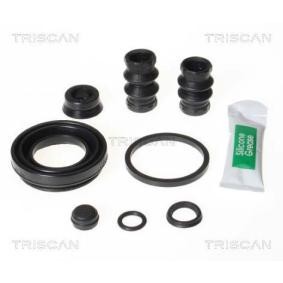 Acquista Kit di revisione della pinza freno da TRISCAN 8170 203843 a buon mercato per soli 36,37&nbsp;&euro;