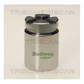 Comprar Émbolo, pinza del freno de TRISCAN 8170 233012 a bajo precio de 23,93&nbsp;&euro;