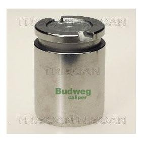 Comprar Émbolo, pinza del freno de TRISCAN 8170 233815 a bajo precio de 41,53&nbsp;&euro;