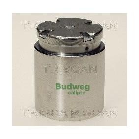 Comprar Émbolo, pinza del freno de TRISCAN 8170 233821 a bajo precio de 17,08&nbsp;&euro;