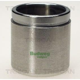 Comprar Émbolo, pinza del freno de TRISCAN 8170 235205 a bajo precio de 17,66&nbsp;&euro;