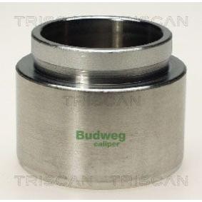 Comprar Émbolo, pinza del freno de TRISCAN 8170 236025 a bajo precio de 21,12&nbsp;&euro;