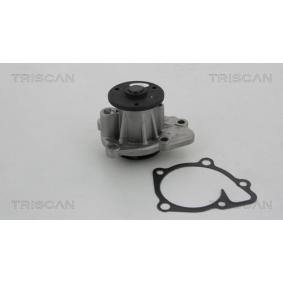 TRISCAN 8600 10036 Pompe à eau HYUNDAI SONATA V (NF) 2.0 144 CV Essence