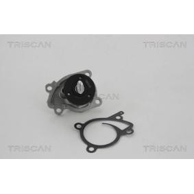 TRISCAN 8600 10071 Wasserpumpe RENAULT Megane 3 Schrägheck (BZ0/1_) 1.6 101 PS Otto