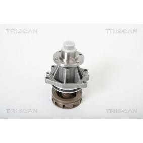 Achetez des Pompe à eau TRISCAN 8600 11007 à prix pour 71,39&nbsp;&euro;