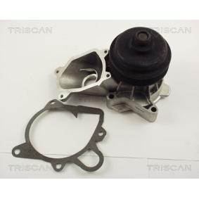 Achetez des Pompe à eau TRISCAN 8600 11011 à prix pour 105,99&nbsp;&euro;