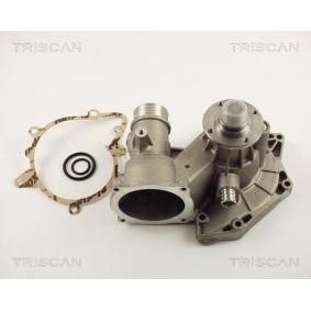 Achetez des Pompe à eau TRISCAN 8600 11012 à prix pour 115,74&nbsp;&euro;