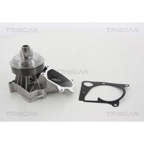 Achetez des Pompe à eau TRISCAN 8600 11036 à prix pour 125,04&nbsp;&euro;