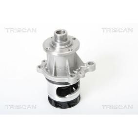 Achetez des Pompe à eau TRISCAN 8600 11964 à prix pour 52,99&nbsp;&euro;