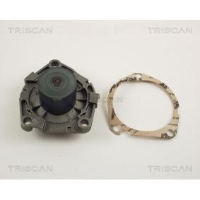 TRISCAN 8600 15031 Einlaßventil ALFA ROMEO 159 Sportwagon (939) 2.4 200 PS Diesel