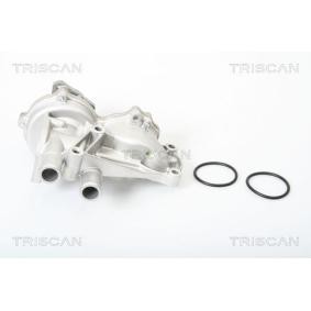 Compre Bomba de água da TRISCAN 8600 29002 a um preço baixo por 78,20&nbsp;&euro;