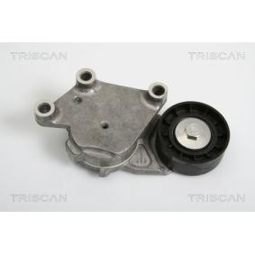 TRISCAN 8641 103014 Poulie, tendeur de courroie d'accessoire MAZDA 2 3/5 portes (DE_, DH_3) 1.4 68 CV Diesel