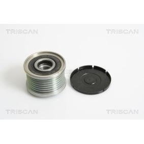 TRISCAN 8641 104018 Ricambi alternatore RENAULT SCÉNIC IV (J9_) 1.6 130 CV Diesel