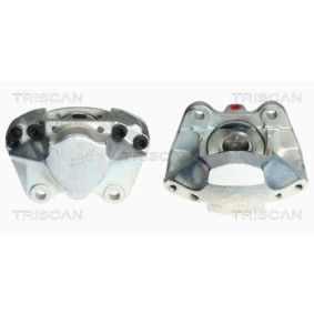 TRISCAN 8641 252006 Umlenk- / Führungsrolle, Keilrippenriemen RENAULT LAGUNA 1 (B56, 556) 3.0 167 PS Otto