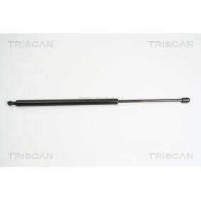 Heckklappendämpfer 8710 10210 für PEUGEOT