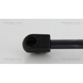 Heckklappendämpfer 8710 10213 für PEUGEOT