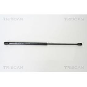 TRISCAN 8710 16239 Coffre à bagages FORD Focus 2 (DA_, HCP, DP) 1.6 90 CV Diesel