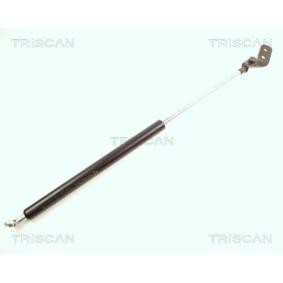 TRISCAN 8710 18206 Bagagliaio KIA SEPHIA