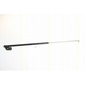 TRISCAN 8710 18209 Bagagliaio KIA SEPHIA