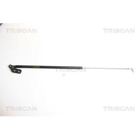 TRISCAN 8710 18210 Bagagliaio KIA SEPHIA