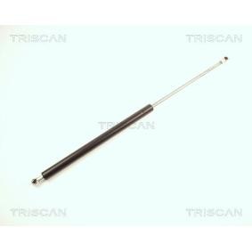 Heckklappendämpfer 8710 28217 für PEUGEOT