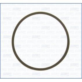 AJUSA 00521500 Dichtung Thermostat  FIAT DUCATO Bus (230) 2.0 109 PS Otto