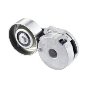 SNR GA355.25 Spannrolle RENAULT MEGANE 3 Grandtour (KZ0/1) 2.0 140 PS Otto