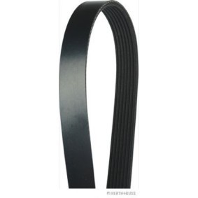 HERTH+BUSS JAKOPARTS J1072270 Correa de alternador HYUNDAI H350 Autobús 2.5 150 cv Gasoleo