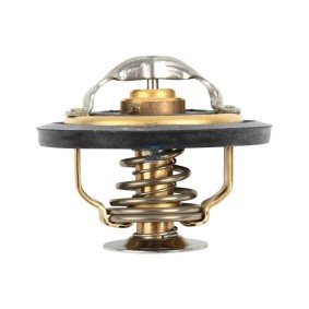 DT Spare Parts 7.60202 Thermostat FIAT DUCATO Kasten (230L) 2.8 87 PS Diesel